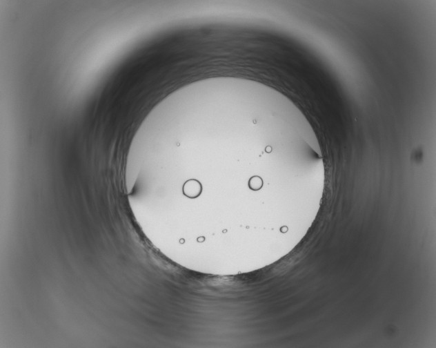 X0000116160431201001041118
