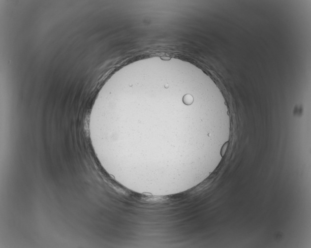 X0000116160432201001041118