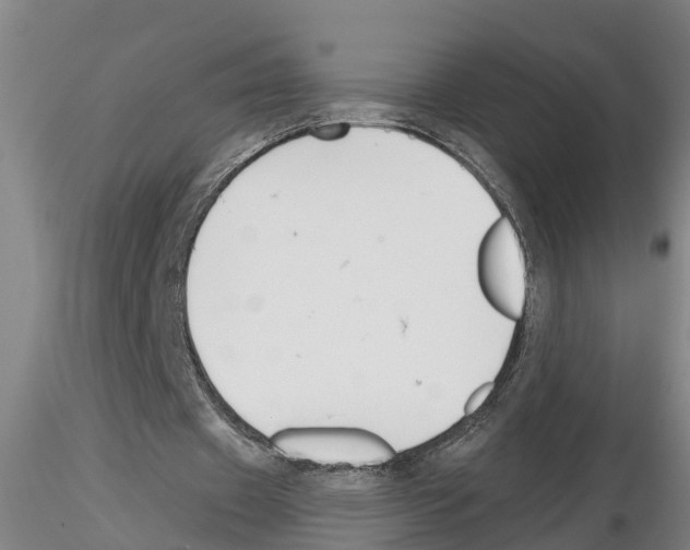 X0000116160433201001041117