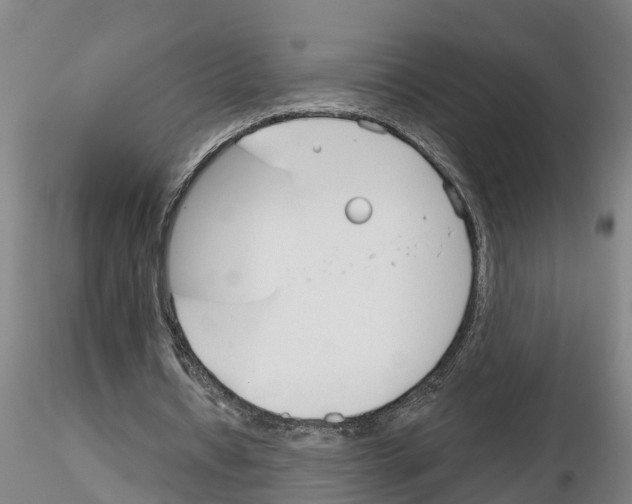 X0000116160434201001041117