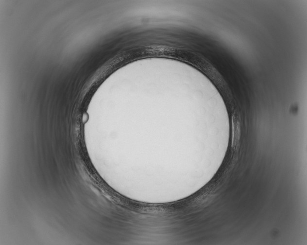 X0000116160435201001041117