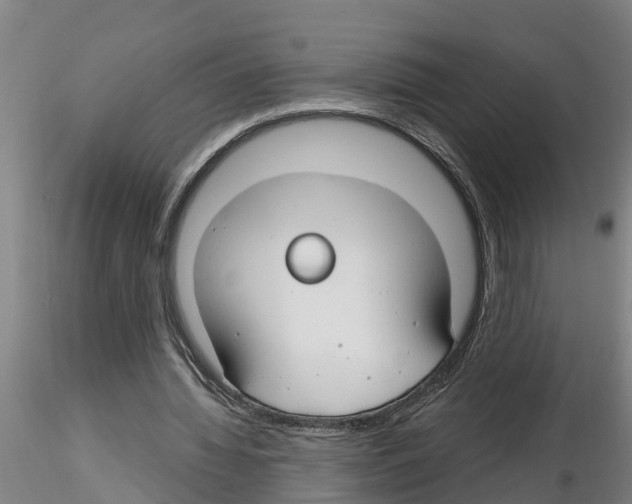 X0000116160436201001041117