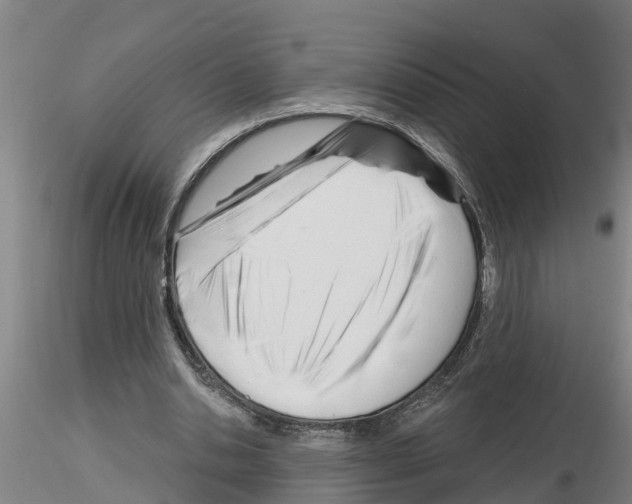 X0000116160438201001041117