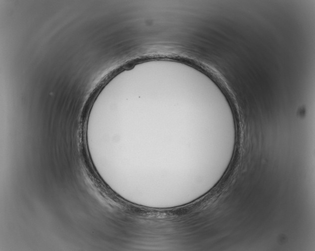 X0000116160439201001041117