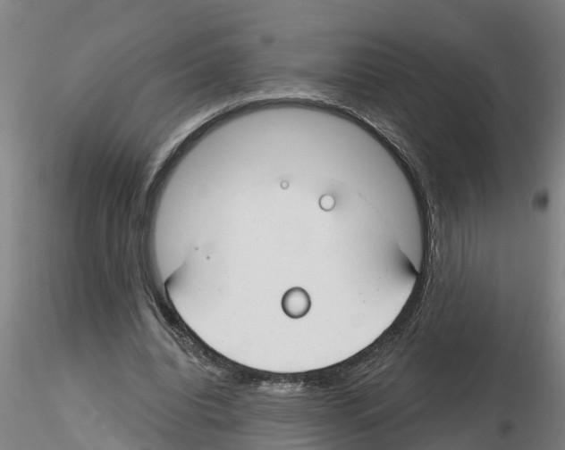 X0000116160440201001041117