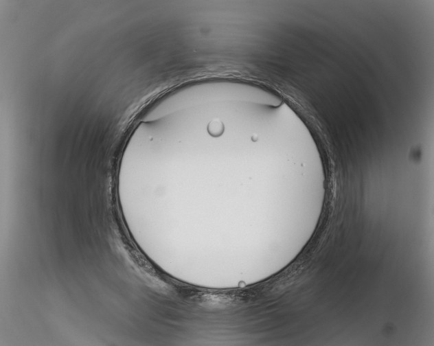 X0000116160442201001041117