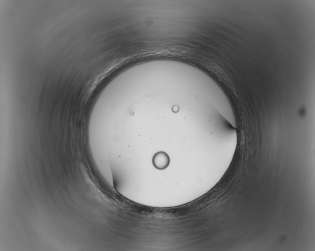 X0000116160444201001041117