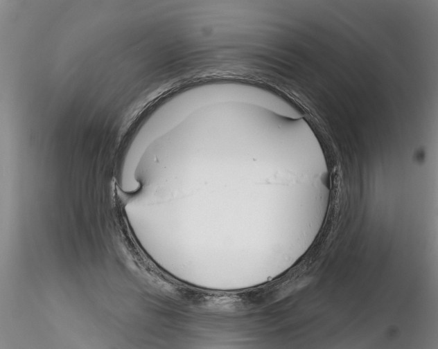 X0000116160446201001041117