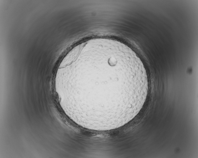 X0000116160447201001041117