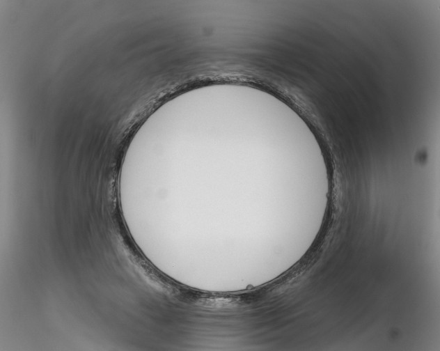 X0000116160449201001041118