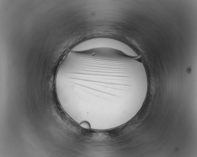 X0000116160451201001041118