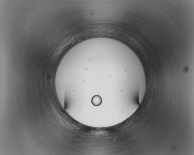 X0000116160452201001041118