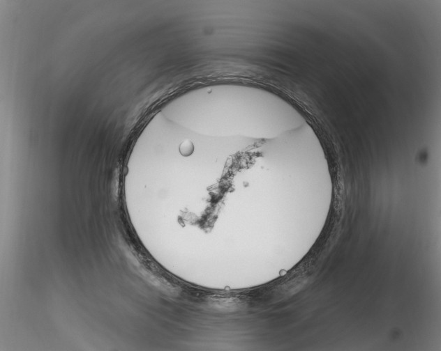 X0000116160454201001041118