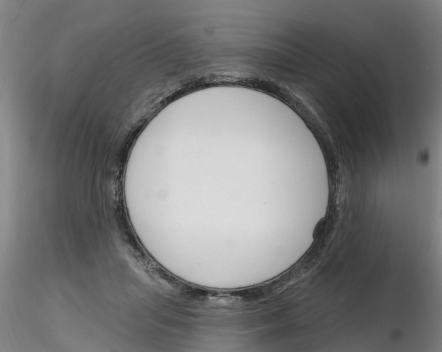 X0000116160455201001041118