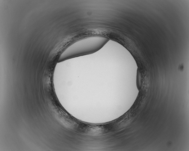 X0000116160456201001041118