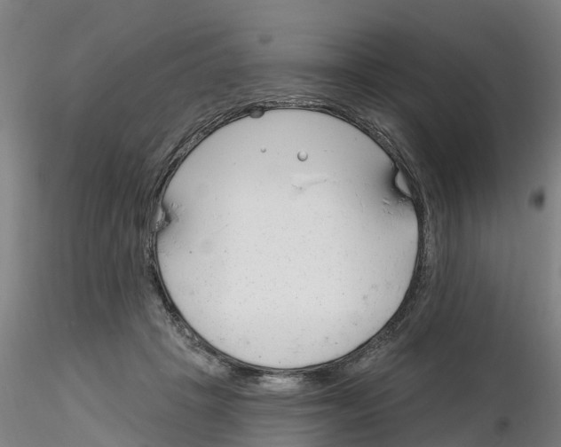 X0000116160457201001041118