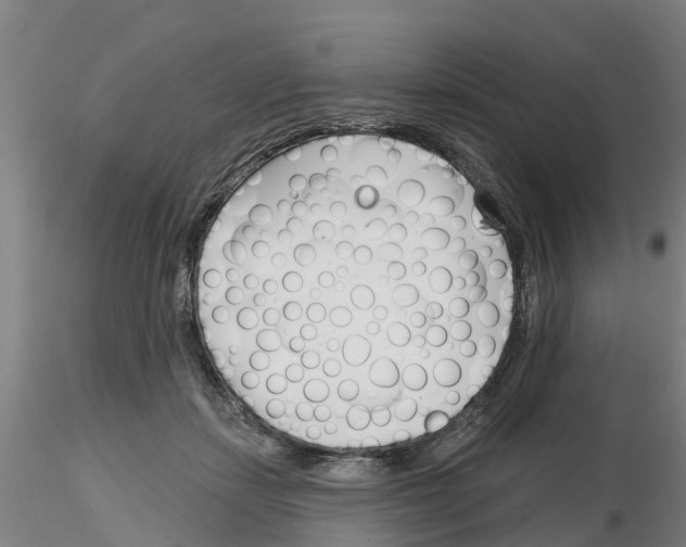 X0000116160459201001041118