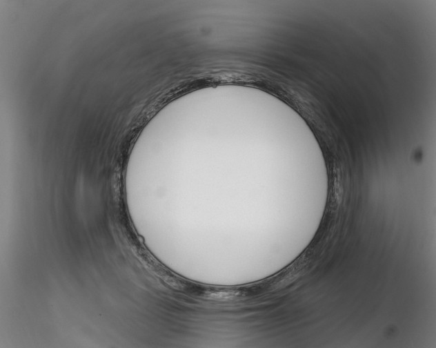 X0000116160461201001041118