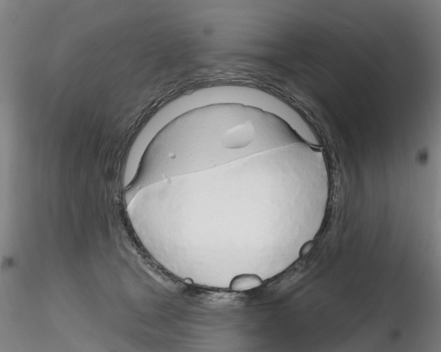 X0000116160465201001041118