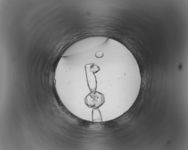 X0000116160470201001041118