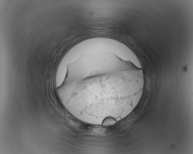 X0000116160471201001041118