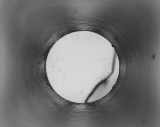 X0000116160473201001041118