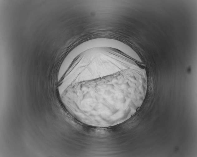 X0000116160475201001041118