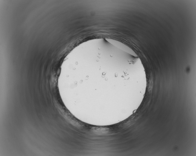 X0000116160476201001041118