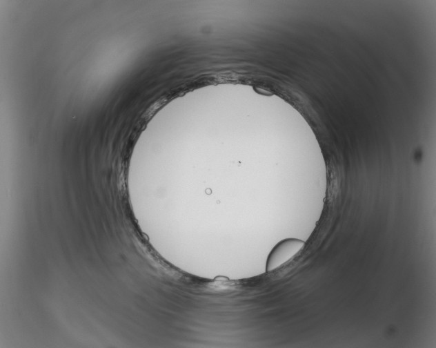 X0000116160477201001041118