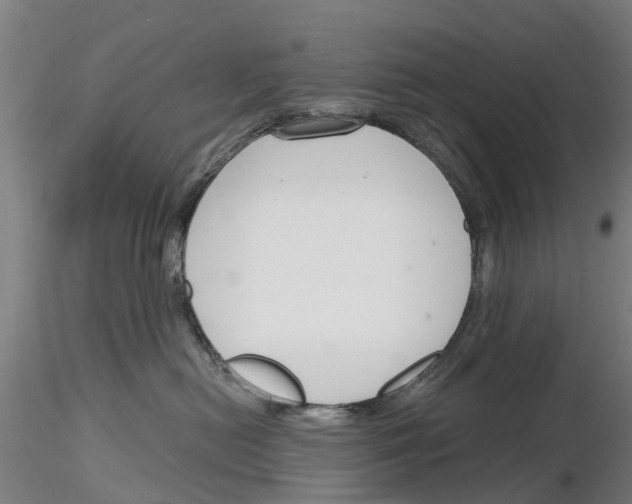 X0000116160478201001041118