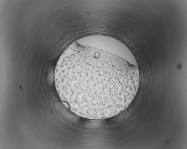 X0000116160479201001041118