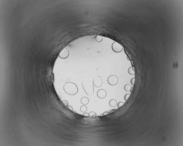 X0000116160480201001041118