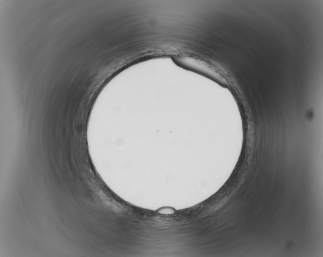 X0000116160481201001041117