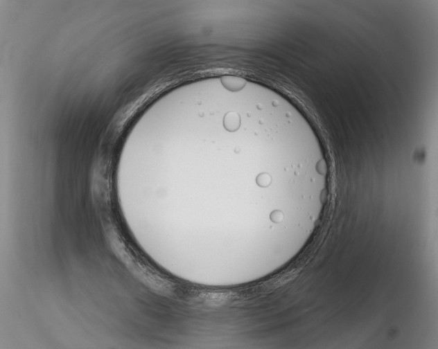 X0000116160482201001041117
