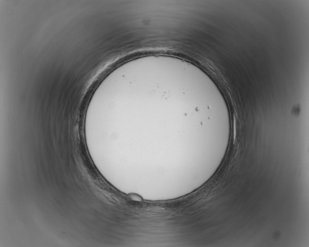 X0000116160483201001041117