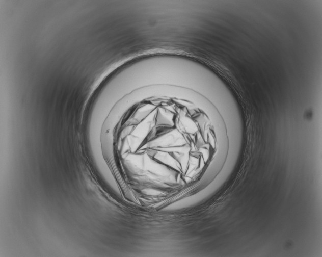 X0000116160484201001041117