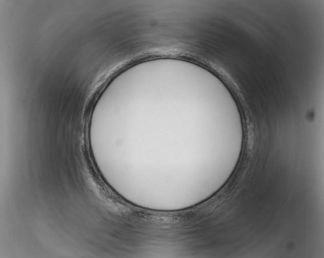X0000116160486201001041117