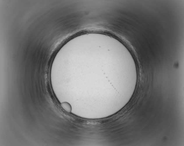 X0000116160487201001041117