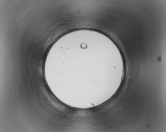 X0000116160489201001041117