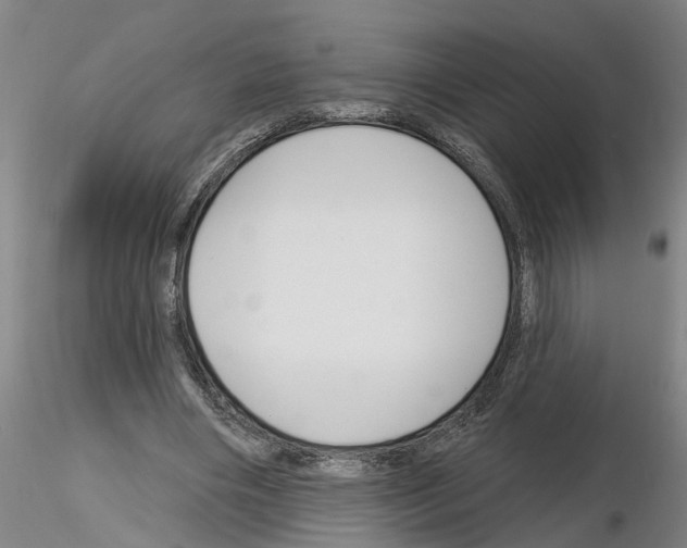 X0000116160490201001041117