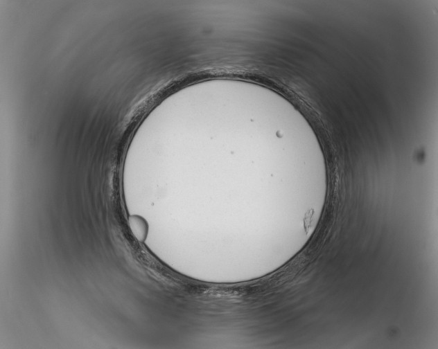 X0000116160491201001041117