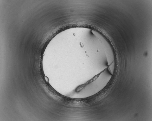 X0000116160493201001041117