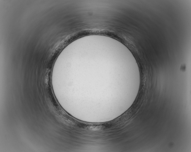 X0000116160495201001041117