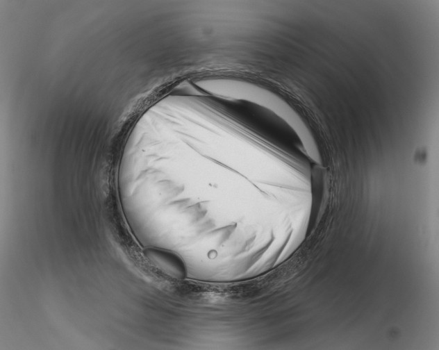 X0000116160496201001041117