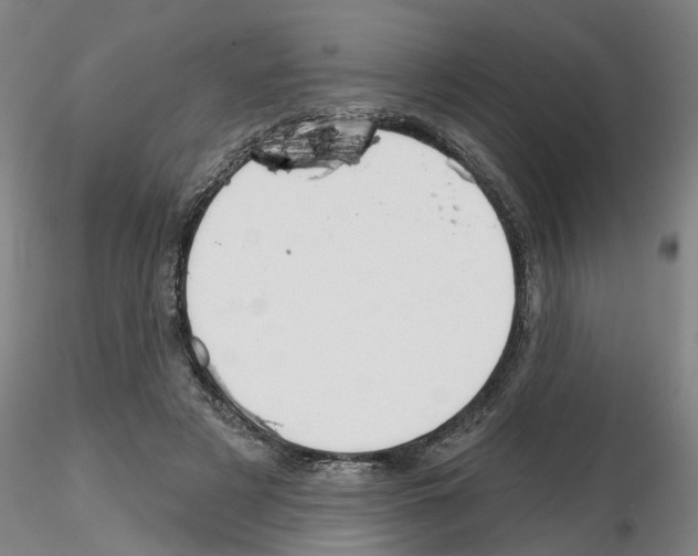X0000116160497201001041117