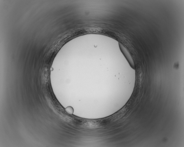 X0000116160498201001041117