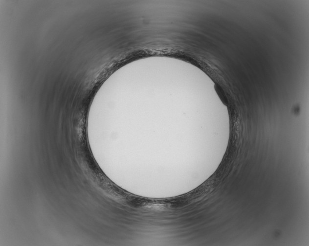 X0000116160499201001041117