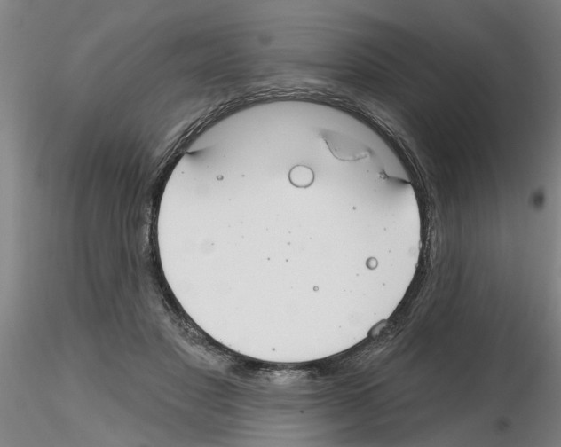 X0000116160501201001041117