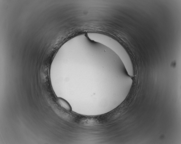 X0000116160503201001041117