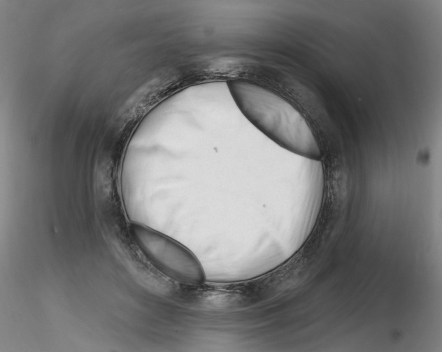 X0000116160504201001041117